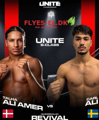 Amer Ali